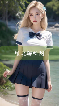 缅北爆料网